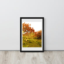Load image into Gallery viewer, Flamboyan Cabo Rojo Framed Poster – Original Puerto Rican Photography by Lucid Imaging