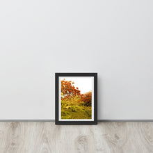 Load image into Gallery viewer, Flamboyan Cabo Rojo Framed Poster – Original Puerto Rican Photography by Lucid Imaging