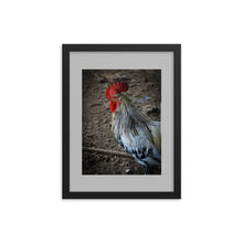 Load image into Gallery viewer, ROOSTER POSTER FRAMED PHOTOGRAPH