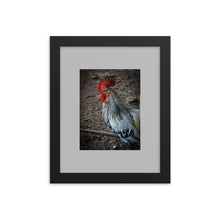 Load image into Gallery viewer, ROOSTER POSTER FRAMED PHOTOGRAPH